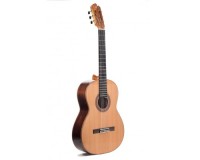 PRUDENCIO SAEZ 5-PS (138) Cedar Top ������ ������������