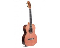 PRUDENCIO SAEZ 6-PS (132) Cedar Top ������ ������������
