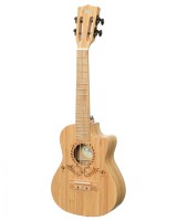 ������� ���������� OLIVE U300CAT (24')