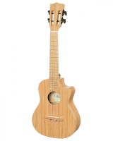 ������� ���������� OLIVE U300 (24')