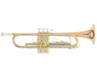 Roy Benson TR-202G Bb �����