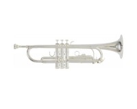 Roy Benson TR-202S Bb �����